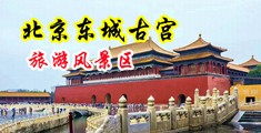 小骚逼被操的视频中国北京-东城古宫旅游风景区